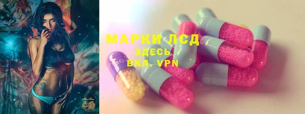 спиды Аркадак