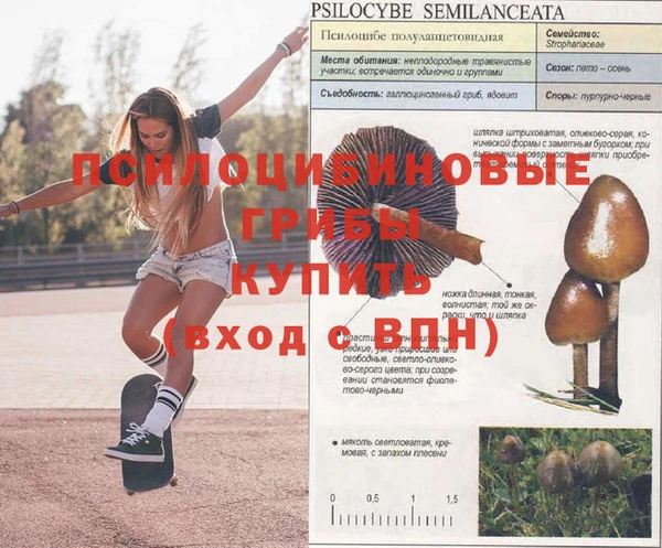 mdpv Арсеньев