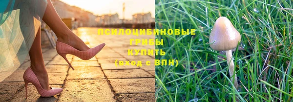 спиды Аркадак